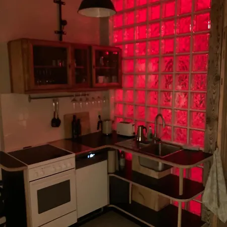 Apartament In Schoener Atelierwohnung Mit Garten Und Werkstattsauna Drezno