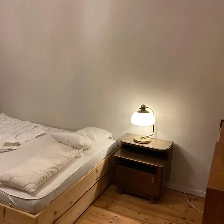 In Schoener Atelierwohnung Mit Garten Und Werkstattsauna * דרזדן