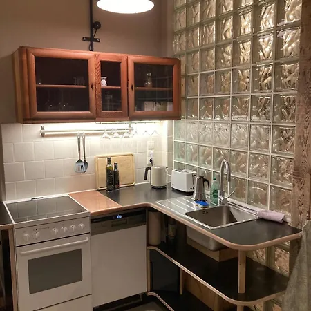 In Schoener Atelierwohnung Mit Garten Und Werkstattsauna דירה דרזדן